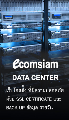 web hosting Thailand-ecomsiam data center